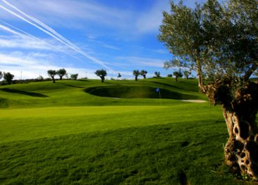 Club Cerrado del Aguila - Golf